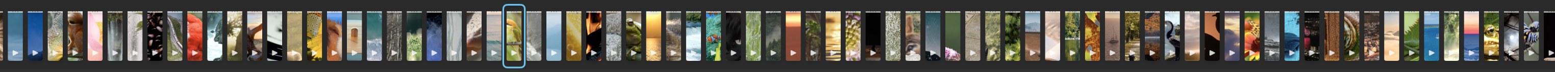The ClipBatch timeline, every clip a vertical bar